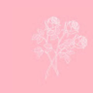 Meet your Posher, Elle